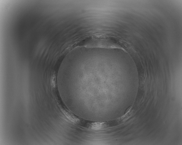 X0000072970090200607282333