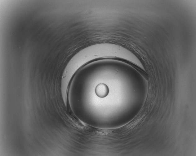 X0000072970096200607282333