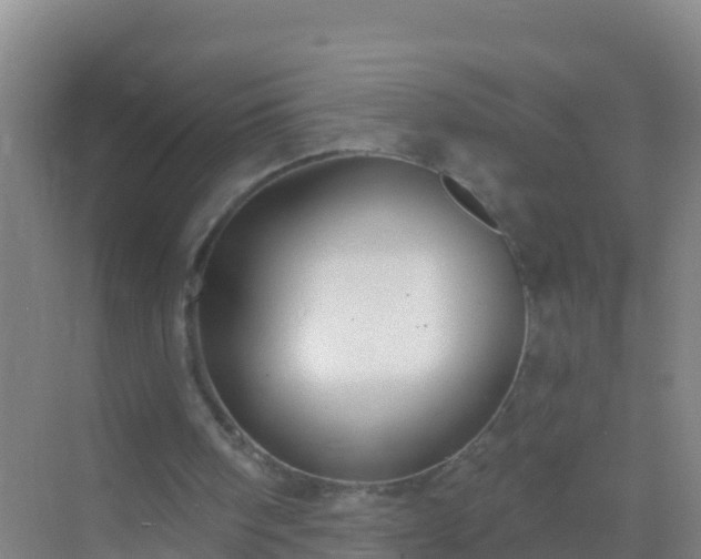 X0000072970098200607282332