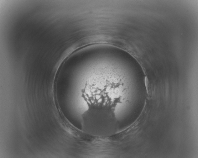 X0000072970099200607282332