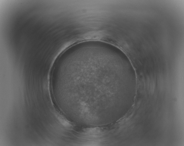 X0000072970100200607282332