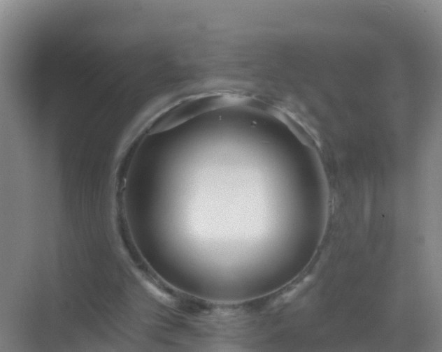 X0000072970101200607282332