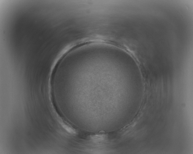 X0000072970102200607282332