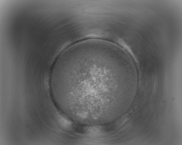 X0000072970106200607282332