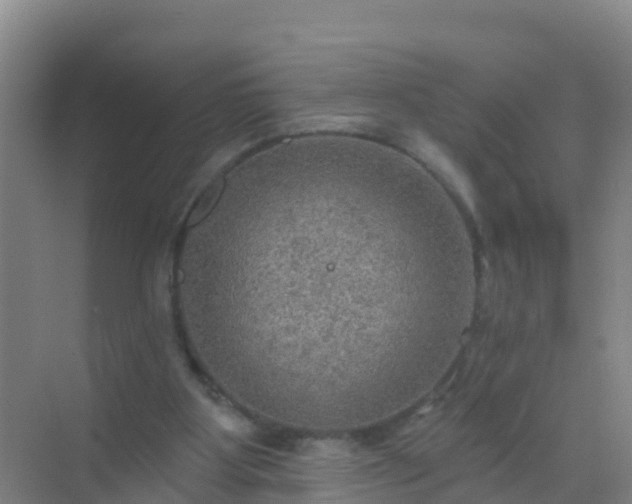 X0000072970107200607282332