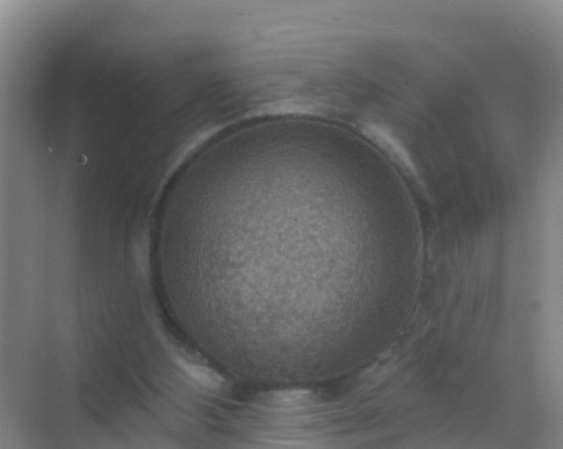 X0000072970108200607282332