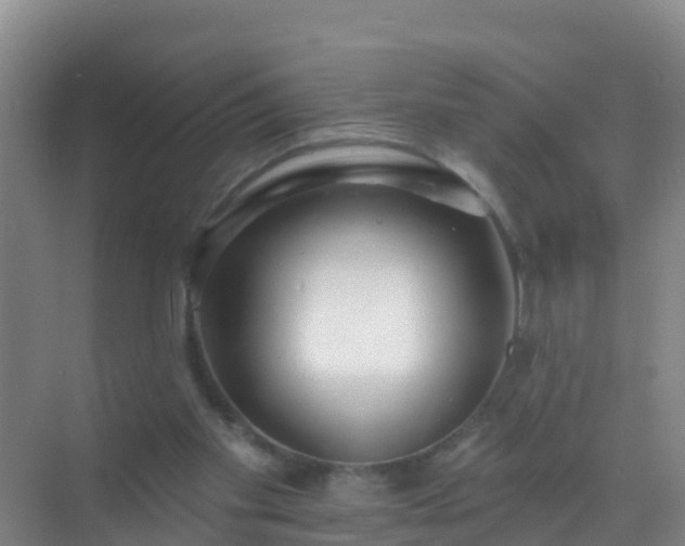 X0000072970109200607282332