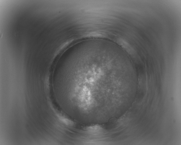 X0000072970112200607282332