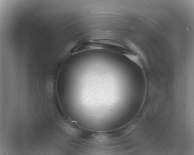 X0000072970113200607282332