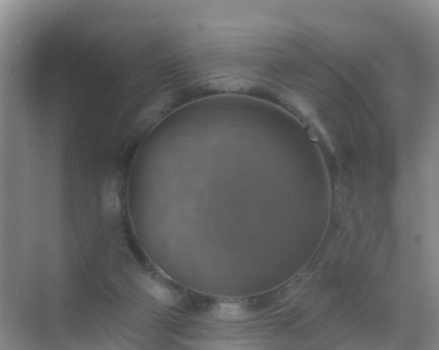 X0000072970114200607282332