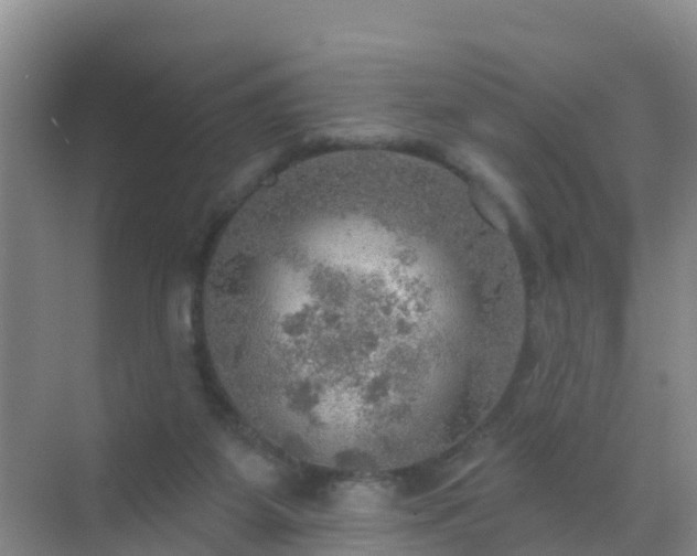 X0000072970115200607282332