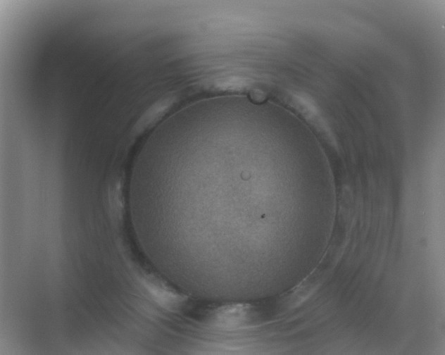 X0000072970116200607282332