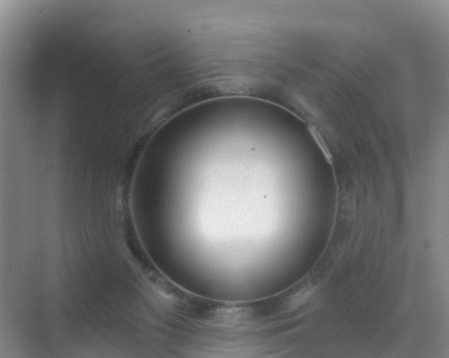 X0000072970117200607282332