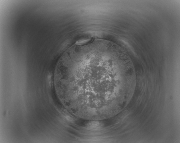 X0000072970123200607282332