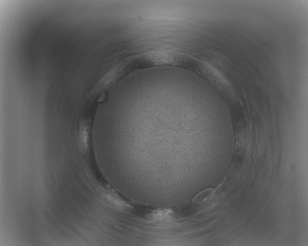 X0000072970124200607282332