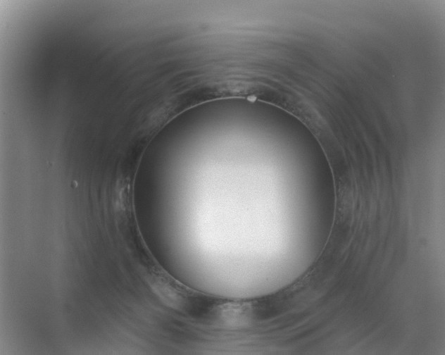 X0000072970126200607282332