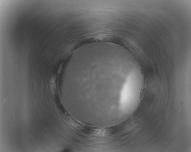 X0000072970127200607282332