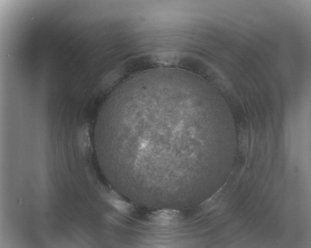 X0000072970128200607282332