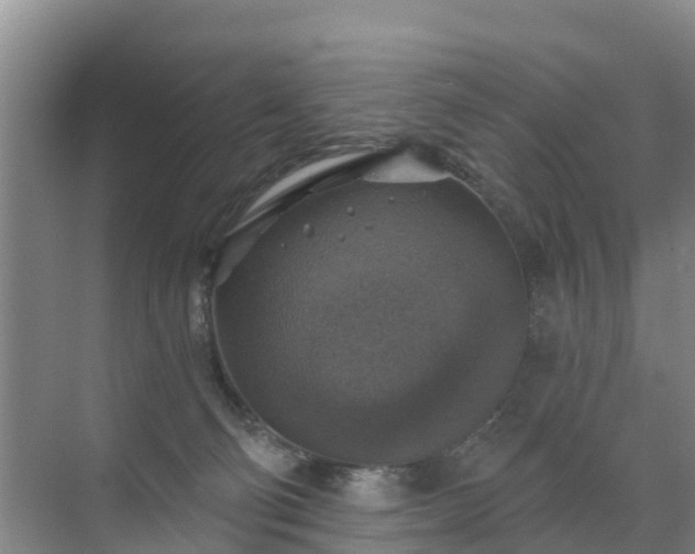 X0000072970130200607282332