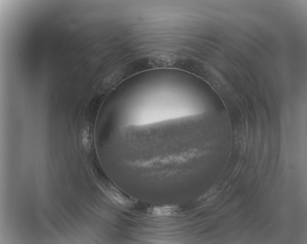 X0000072970134200607282332