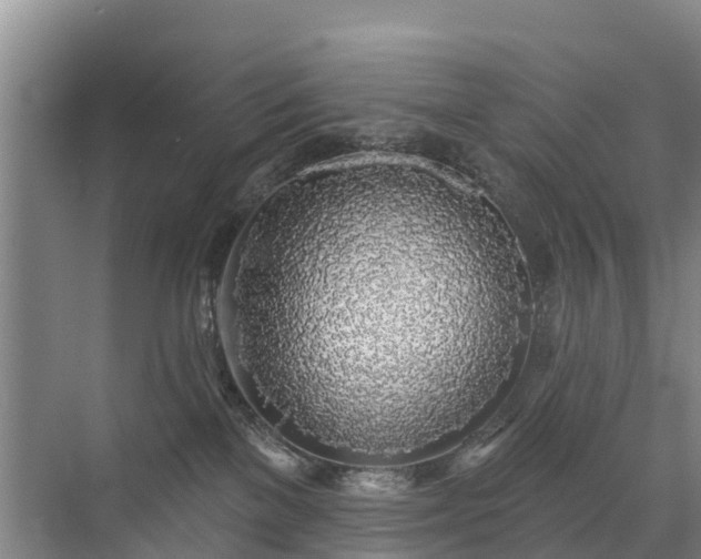 X0000072970137200607282332