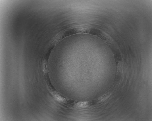 X0000072970138200607282332