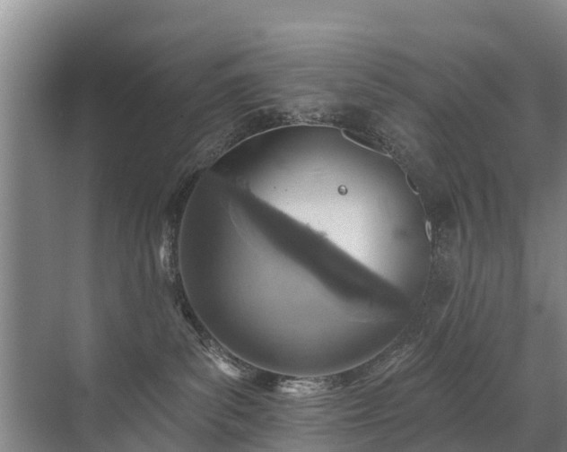 X0000072970139200607282332