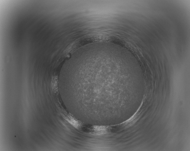 X0000072970144200607282331