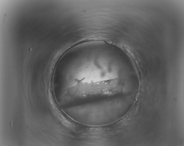 X0000072970145200607282331