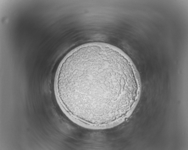 X0000072970146200607282331