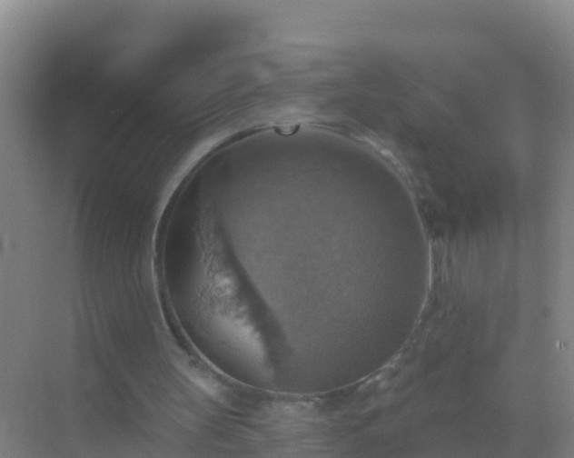 X0000072970147200607282331