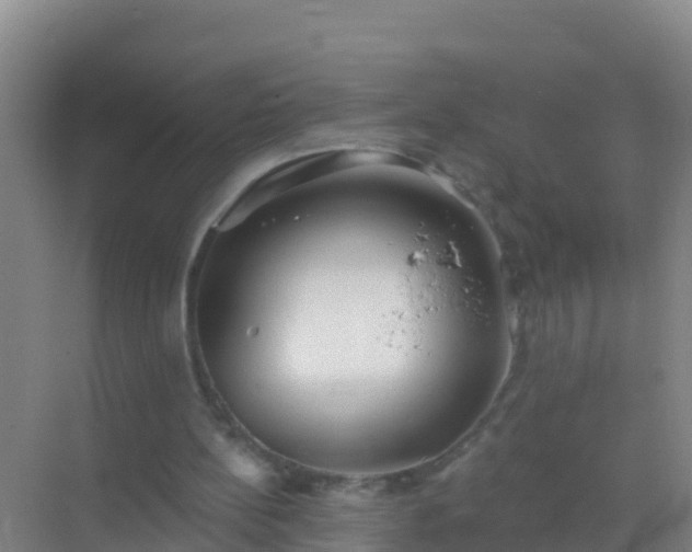 X0000072970148200607282331