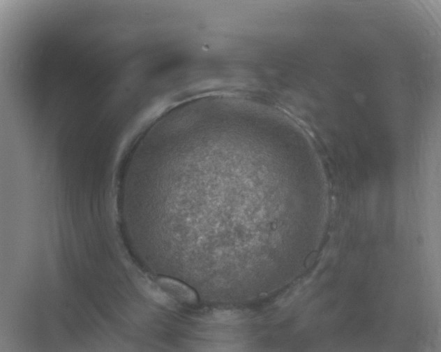 X0000072970149200607282331