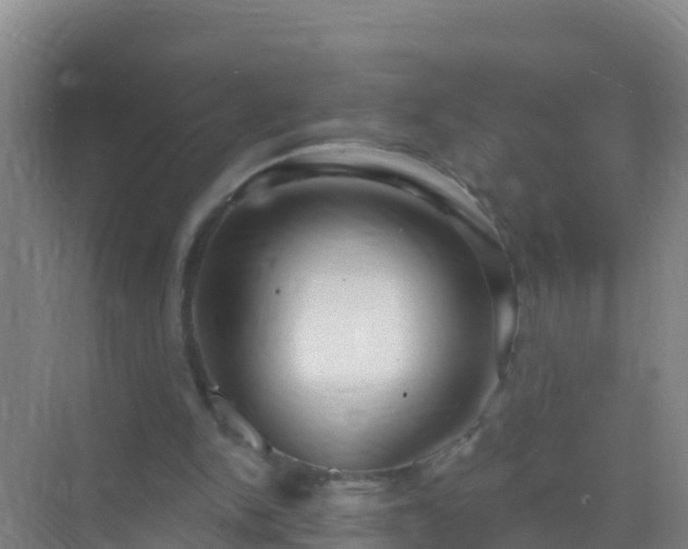 X0000072970150200607282331