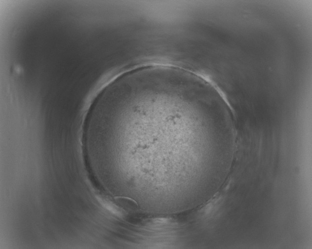 X0000072970151200607282331