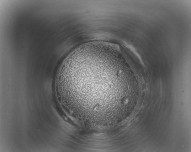 X0000072970154200607282331