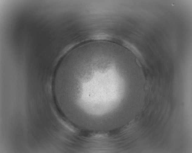 X0000072970155200607282331