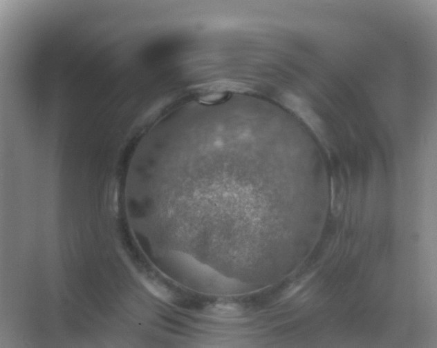 X0000072970157200607282331