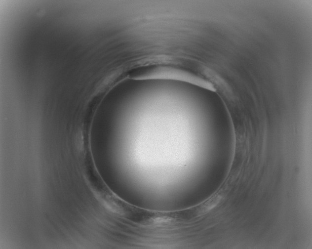 X0000072970158200607282331