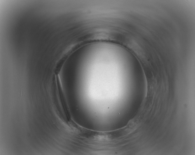 X0000072970160200607282331