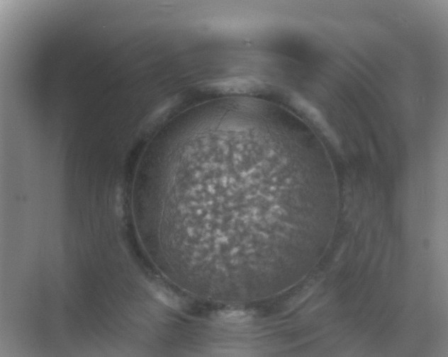 X0000072970161200607282331