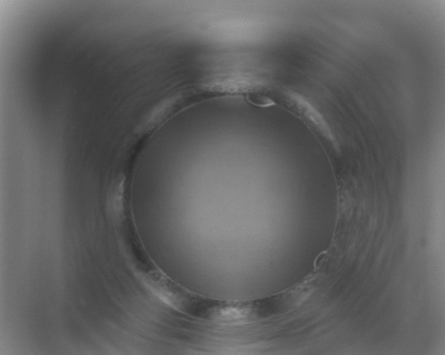 X0000072970163200607282331