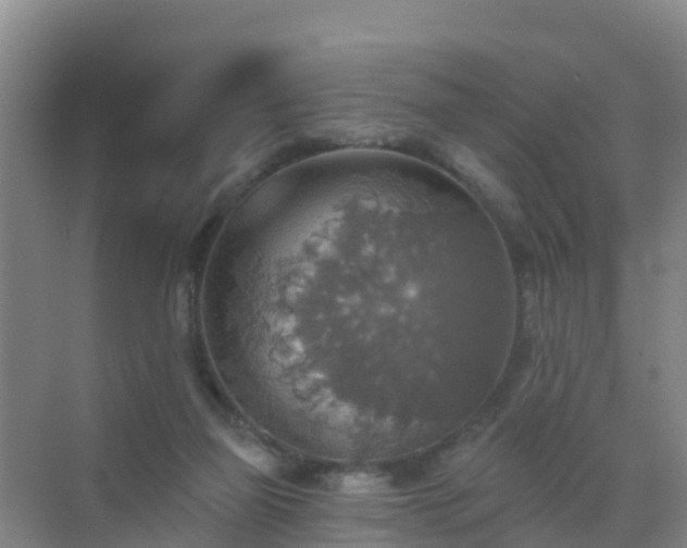 X0000072970165200607282331