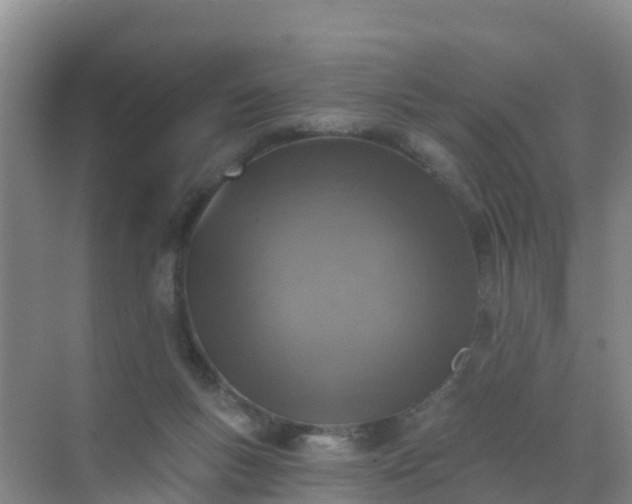 X0000072970167200607282331