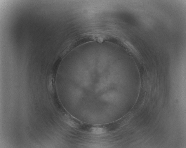 X0000072970169200607282331