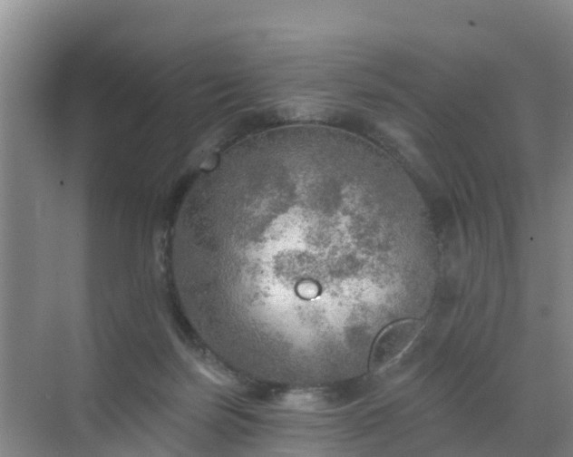 X0000072970171200607282331