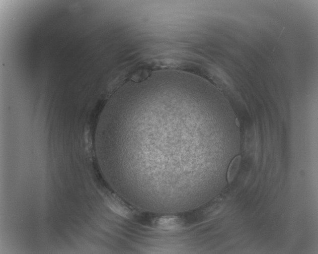 X0000072970173200607282331