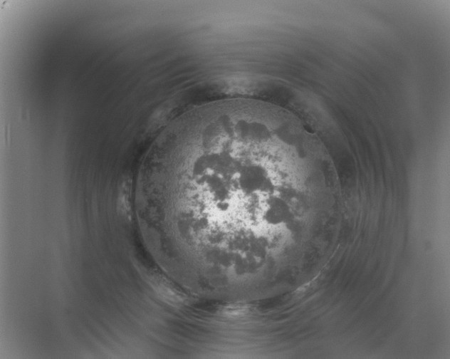 X0000072970175200607282331