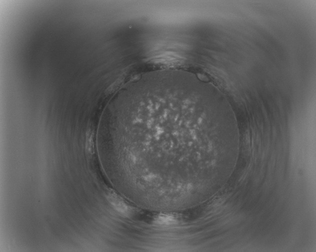 X0000072970177200607282331