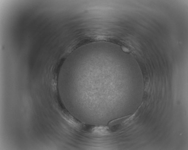 X0000072970179200607282331